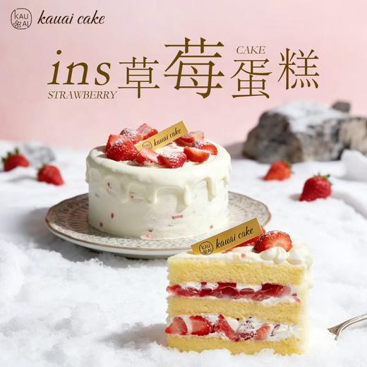 【草莓季】ins草莓蛋糕 | 烤爱 商品图0