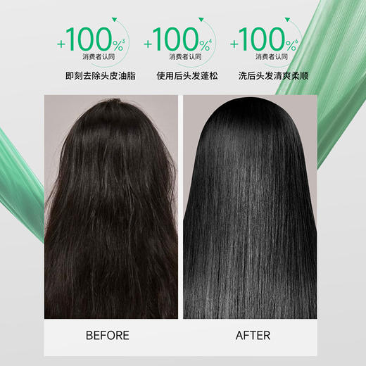 舒蕾山茶花洗发露500g 商品图4