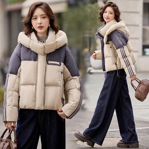 小个子羽绒服女短款，气质显瘦连帽白鸭绒外套HR-LHEZ5135 商品图3
