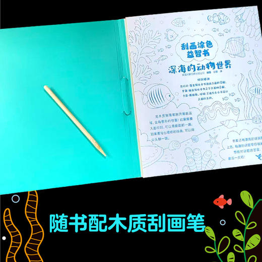 尤斯伯恩(USBORNE)·刮画涂色益智书（2册） 商品图3
