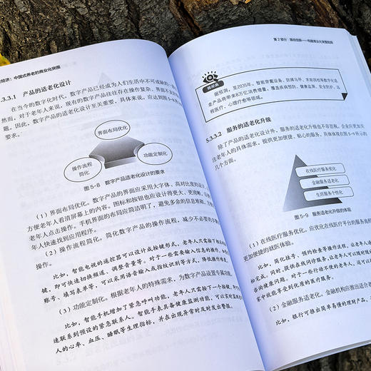 银发经济 : 中国式养老的商业化突围 商品图3