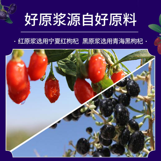 早红晚黑 红枸杞原浆+黑枸杞原浆 商品图4