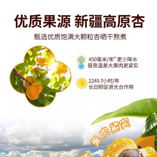 尖派 新疆杏皮水1L 商品图3