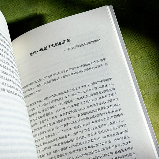 阅读的自觉 赵丽宏序跋四集 文学评论 当代文学创作 商品图13