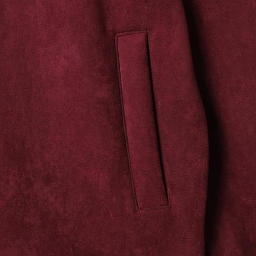 WT228SDSA男士秋冬新款痞帅男装潮牌拉条绒面拉链立领卫衣百搭时尚上衣 商品图2