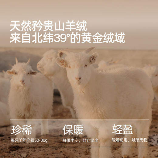 【小野和子】羊绒棉裤袜（袜跟款&无袜跟款） 商品图2