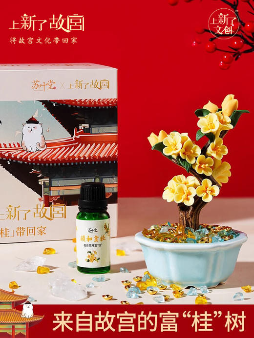 上新了故宫·苏叶堂-陶瓷花盆景故宫礼盒 商品图0