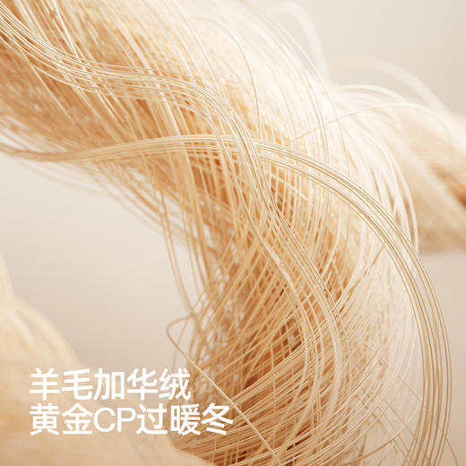 明星同款【小野和子】羊毛棉裤袜第2代 商品图5