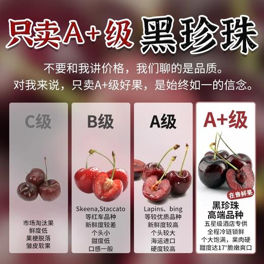 【顺丰/京东直达】智利进口桑提娜车厘子3J 2.5kg海运原箱礼盒装 商品图2