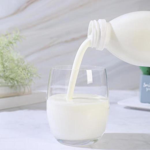 君乐宝简醇风味发酵乳1KG 商品图2