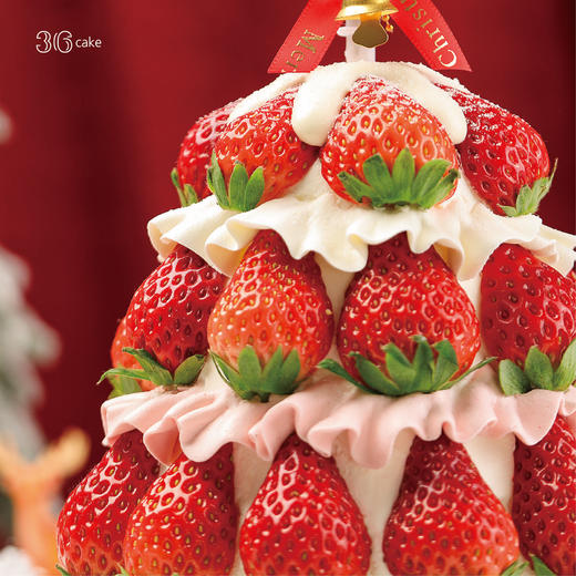 【圣诞季】圣诞草莓塔·红颜草莓多多奶油蛋糕，可选1.5磅 商品图1