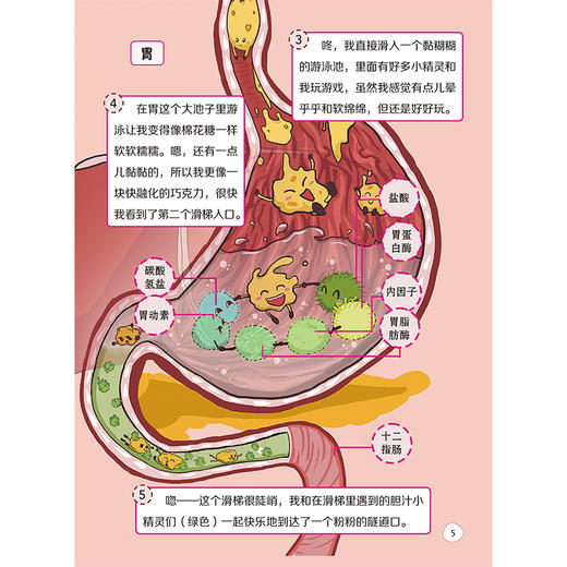 便便，不讨厌 郑帆 主编 谨以此书献给被小儿便秘困扰的家庭 重点突出介绍不适宜的便便教育和认知等 9787117389082人民卫生出版社 商品图4