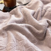 一套8.4斤+ A类秋冬牛奶绒四件套加厚立体雕花绒保暖被套罩冬季双面绒床上用品 商品缩略图3