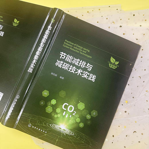 节能减排与减碳技术实践 商品图5