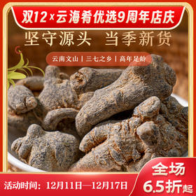 【云南文山三七干货】真材实料 整根发货 根根手工挑选 无硫熏制 品质保证 100g/瓶（40头）