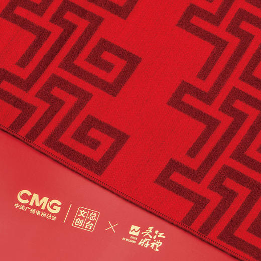 2026春晚真丝拉绒长巾 商品图5