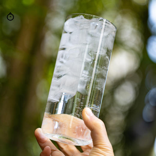 企鹅市集|国产金酒 植物乐园手工金酒500ml 鸡尾酒吧供应款 酒体柔滑 清新甜橙香 商品图4