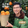 乾青园·生态赣南脐橙 5斤/9斤/19斤 | 合作农友生产，来自江西赣州，生产者：喻声胜 *【公平贸易农人定价】 商品缩略图3
