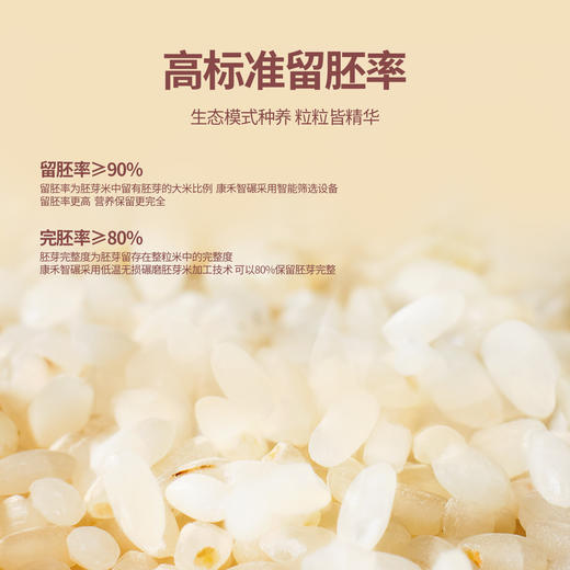 胚芽鲜米2KG装 商品图2