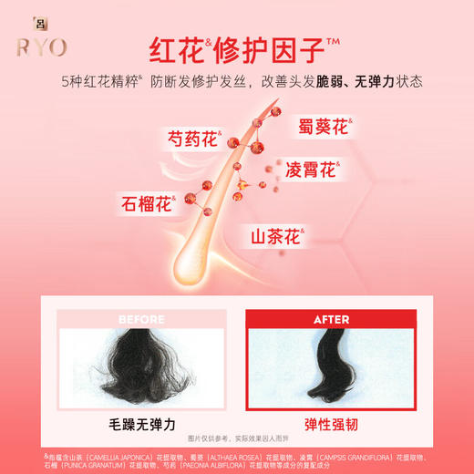 红吕含光耀护莹润修护洗发水 商品图4