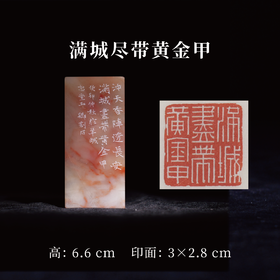 邓圣卿丨满城尽带黄金甲 3x2.8x6.6CM 手工篆刻印章作品