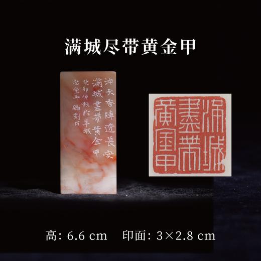 邓圣卿丨满城尽带黄金甲 3x2.8x6.6CM 手工篆刻印章作品 商品图0