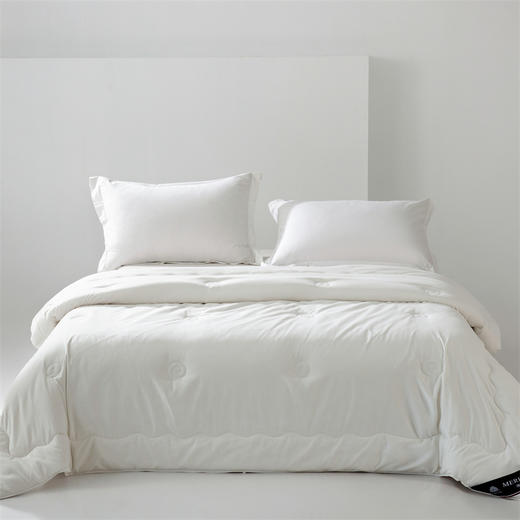 【欧特家·OETKER澳洲进口澳洲美利奴羊毛被】热卖中！！下单72小时内发货！【英国百年品牌】七星级酒店 百分百纯羊毛 商品图0