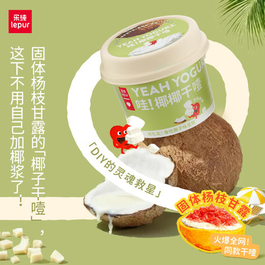 乐纯[新品]哇！椰椰干噎干巴酸奶100g/杯DIY固体杨枝甘露 商品图1
