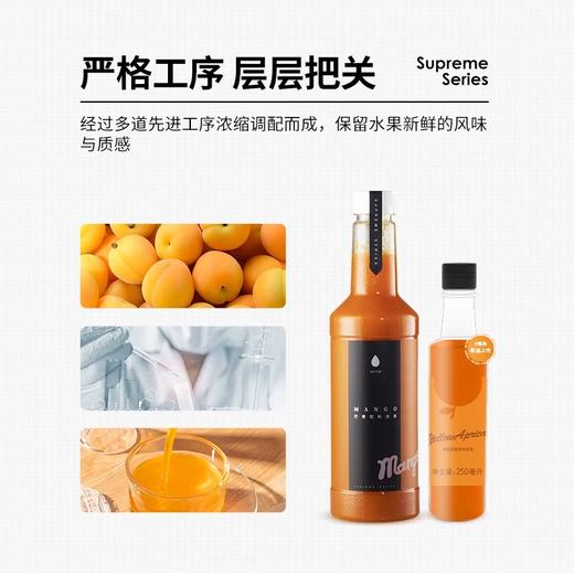 多风味小瓶糖浆DIY自制冲饮饮料网红调酒咖啡奶茶原料250ml/瓶 商品图2