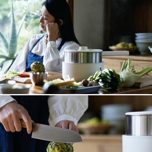 [屁侠推荐]olayks立时 2.5L不锈钢电煮锅 家用多功能分体式小型电炒锅 商品图0