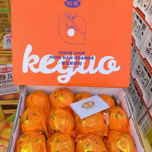 【好吃的品牌耙耙柑来喽】橘子味浓郁，纯甜（甜），水嫩多汁，明星爆款产品 商品图8