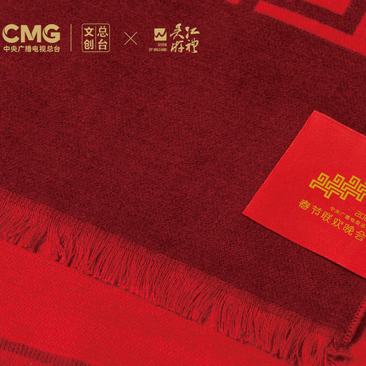 2026春晚真丝拉绒长巾 商品图6