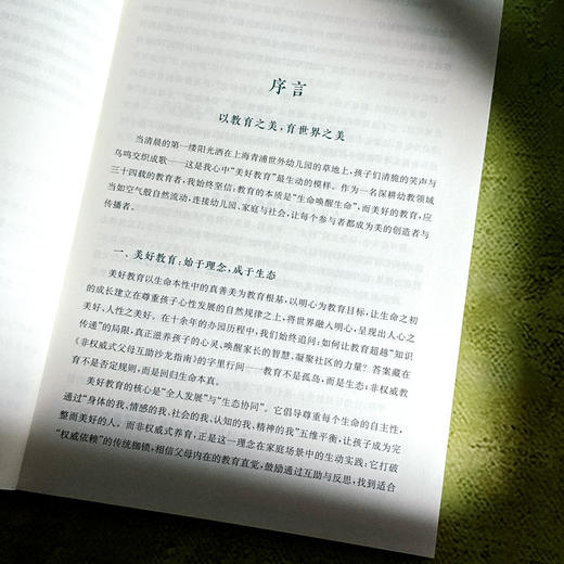 非权威式父母互助沙龙指南 美好教育系列丛书 王茜 王妍人 商品图7