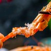 【顺丰冷链发货】香烤大虾干 活虾现烤 鲜香美味 新鲜捕捞深海鲜活对虾 鲜香不腥 商品缩略图1