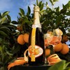 夏桐（Chandon）Brut起泡酒传统工艺柑橘风味高泡葡萄气泡酒750ml 商品缩略图2