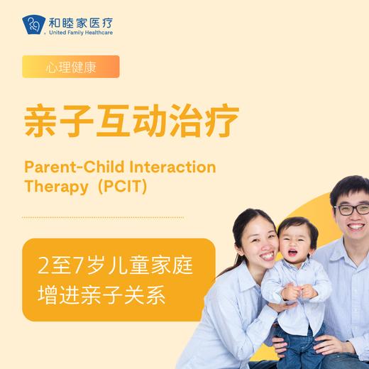 亲子互动治疗 商品图0