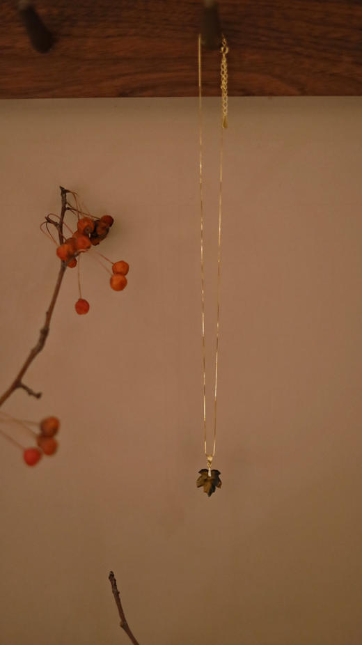 宣枫项坠项链 商品图2