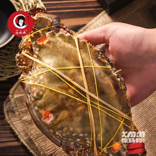 红膏炝蟹（飞机蟹）整只装 商品图4