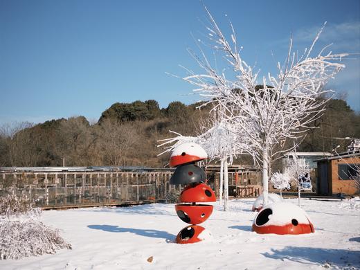 1月周末活动：柴锅蒸糖葫芦馒头、马上出发日历or灌肉肠、福字灯笼 商品图7