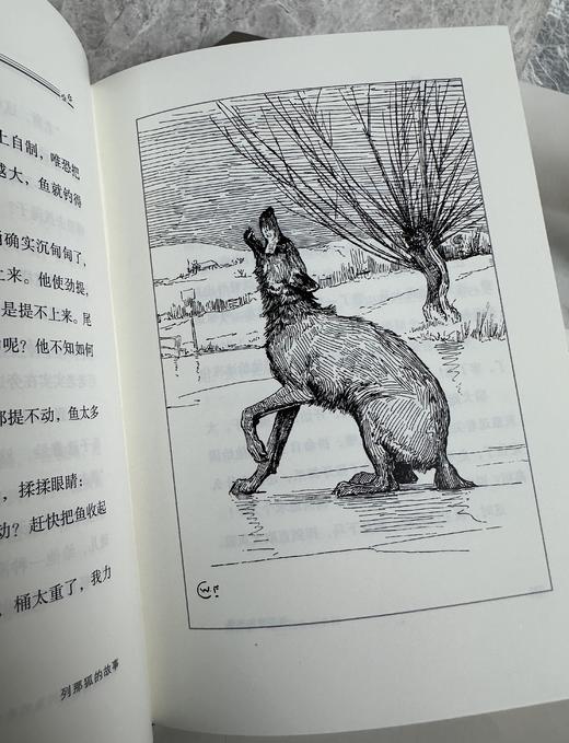 【限量真皮定制款】《列那狐的故事》-丛林法则款，限量制作，绿色山羊皮 书口鎏金暗藏花纹 商品图6