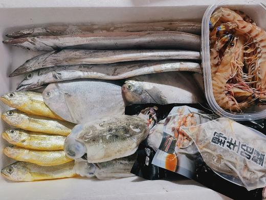 海鲜年货礼盒【东海野生海鲜】 72小时内发货 商品图2