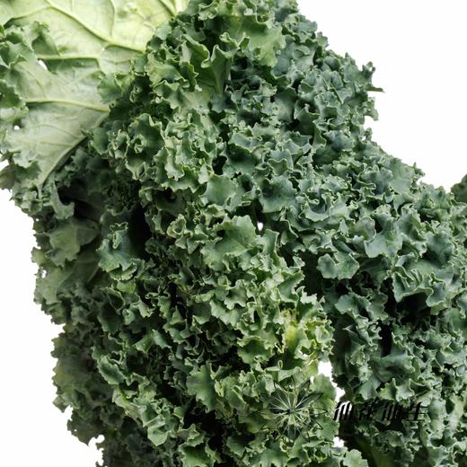 叶材 | 羽衣甘蓝 商品图3