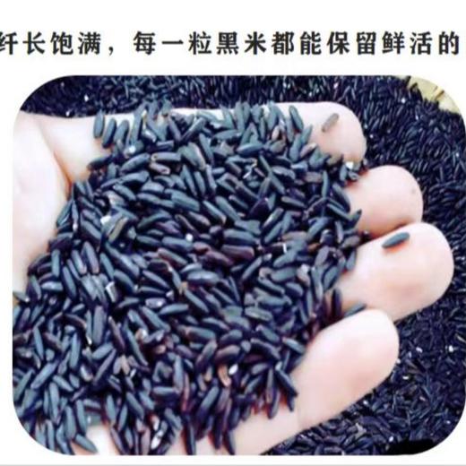 【大石山】马山黑米茶180克（盒装） 商品图2