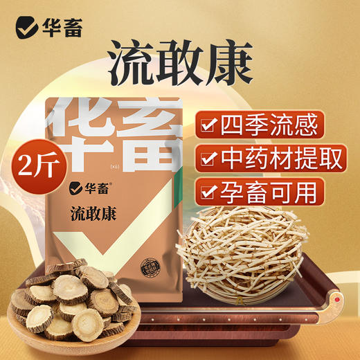 华畜四季流感兽用提免疫中药提取猪牛羊鸡鸭鹅孕畜可用呼吸流感康 商品图0