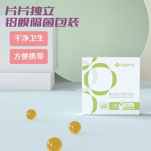 【药都严选】参柏延芍育元贴（一盒装） 商品图1