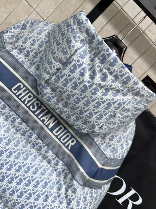 【支持换码，不可退】DIOR 迪奥 羽绒服（MM） 商品图3