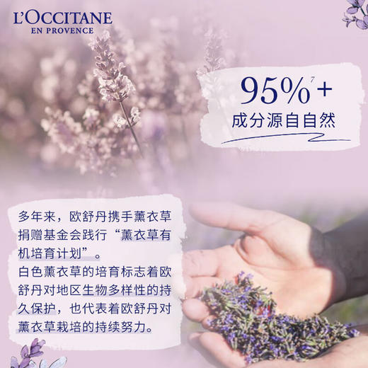 欧舒丹白色薰衣草香氛润肤乳 商品图3