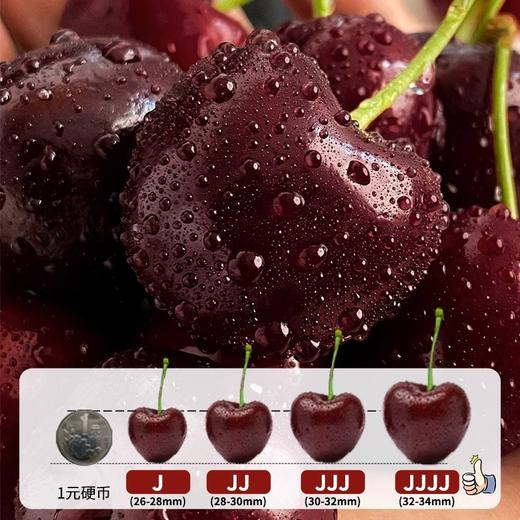 【顺丰/京东直达】智利进口桑提娜车厘子3J 2.5kg海运原箱礼盒装 商品图3