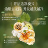30载山茶籽精粹 蓬松亮泽发丝『诗朗控油蓬松香氛洗发水』山茶籽提取物 油脂去无踪 根源洗走油腻 秀发越洗越净 商品缩略图3