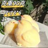 【立体仿真材质安全❗️握感软糯任意揉捏】肉墩墩仿真毛绒小鸡捏捏乐奶油烂泥手感超软食品级成人解压神器。jb 商品缩略图3